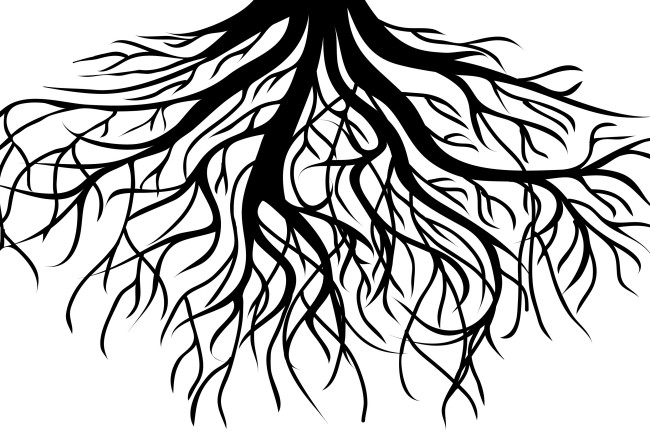 Tree Roots Drawing at GetDrawings | Free download