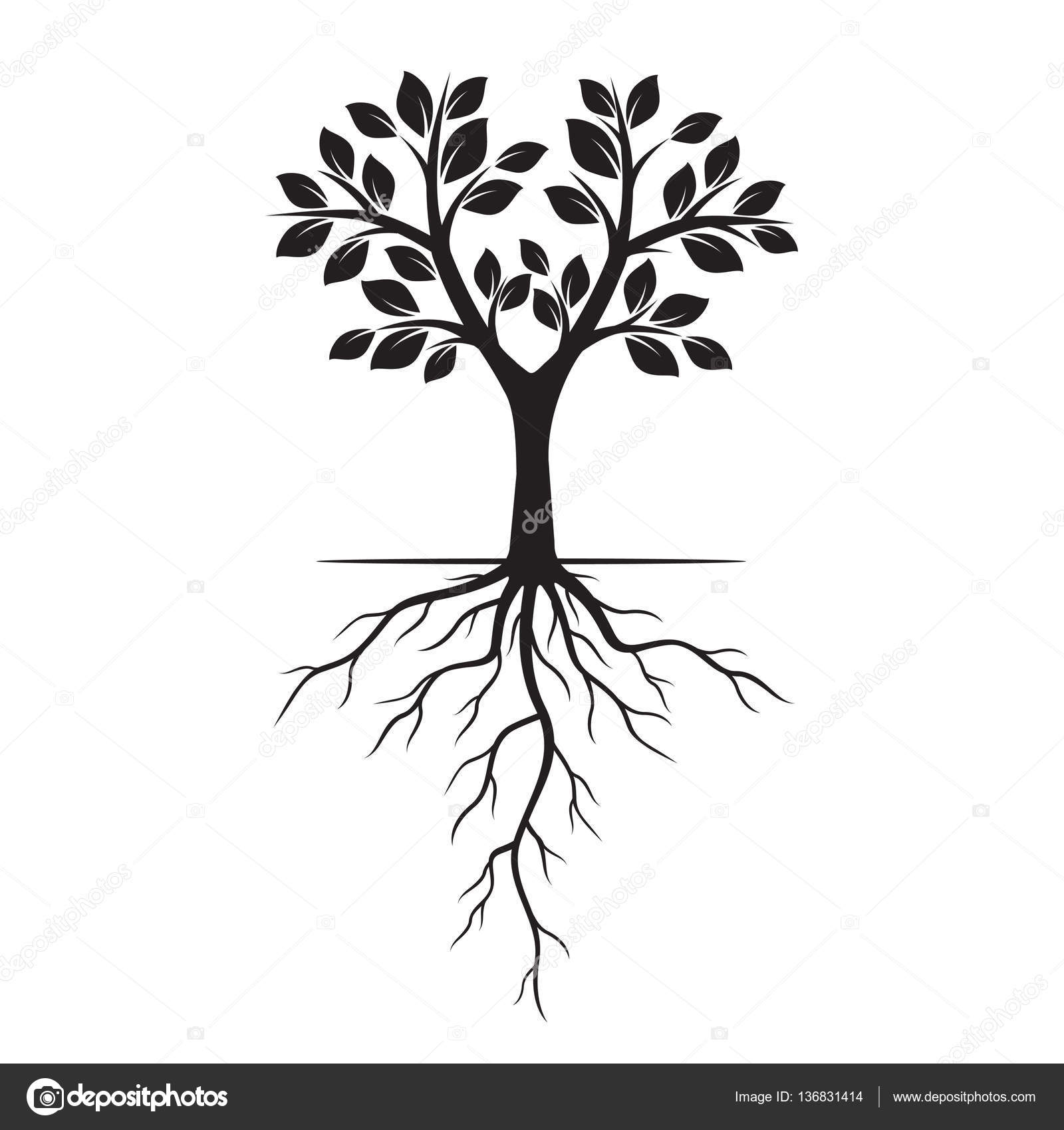 Tree Roots Drawing at GetDrawings | Free download