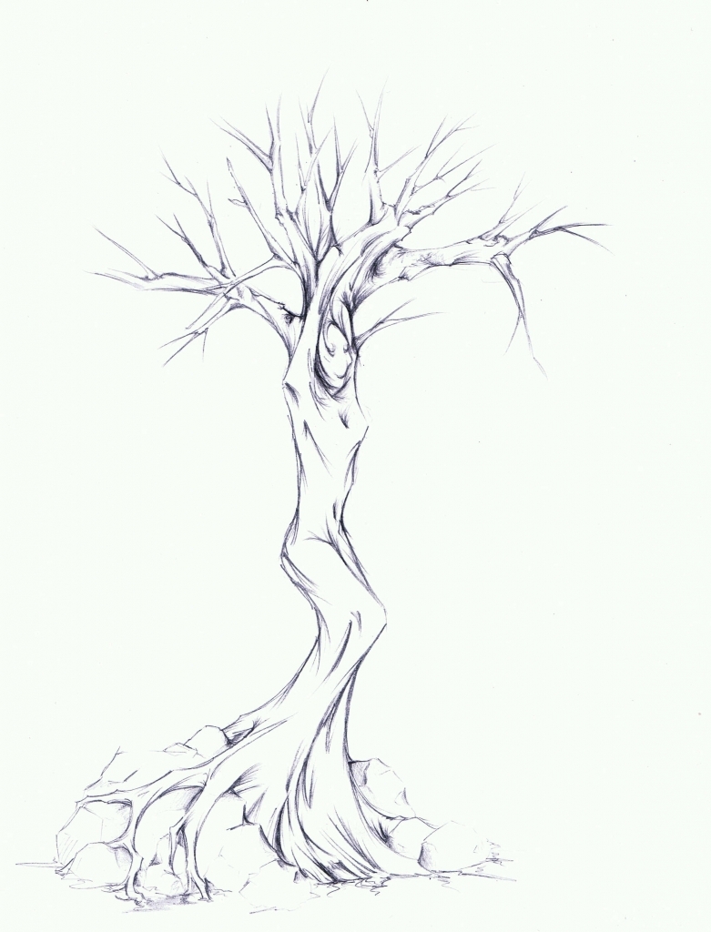 tree pencil sketch