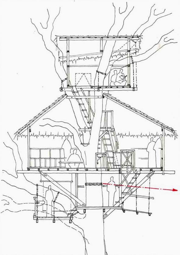 Tree Top Drawing At Getdrawings Free Download 2995