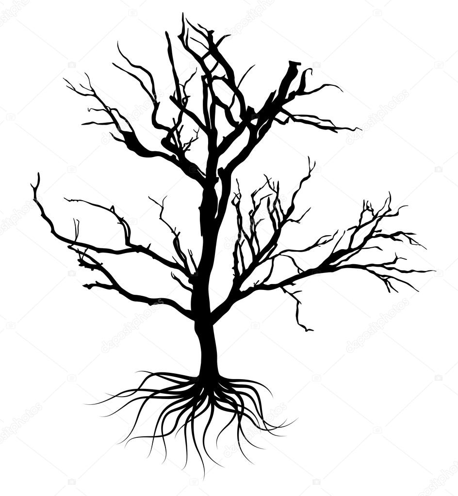 Tree With Roots Drawing At Getdrawings 