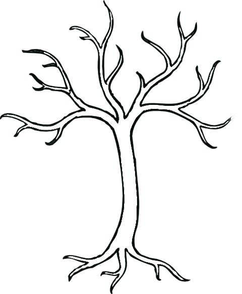 Tree Without Leaves Drawing at GetDrawings | Free download