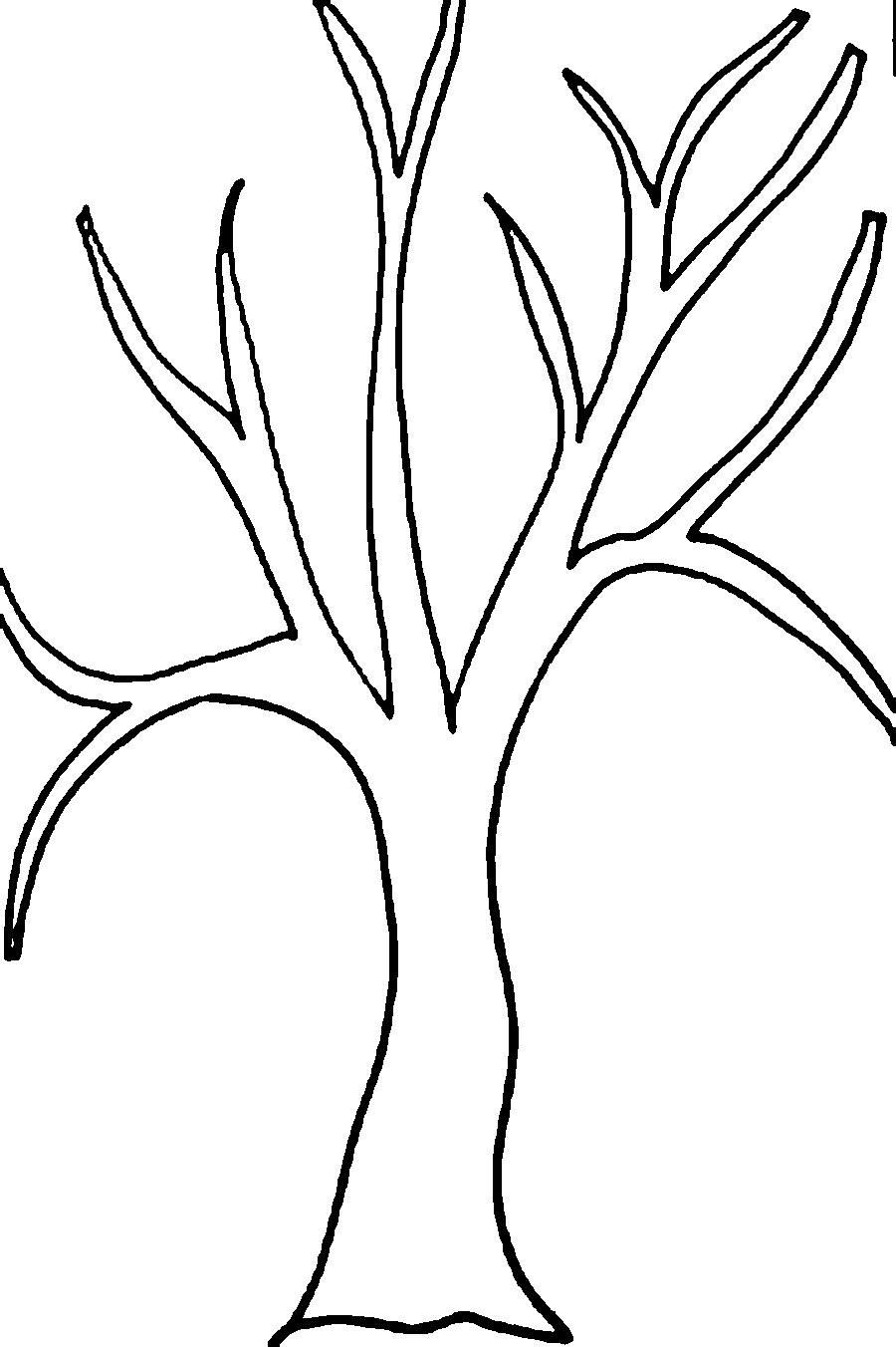 Tree Without Leaves Drawing At GetDrawings Free Download
