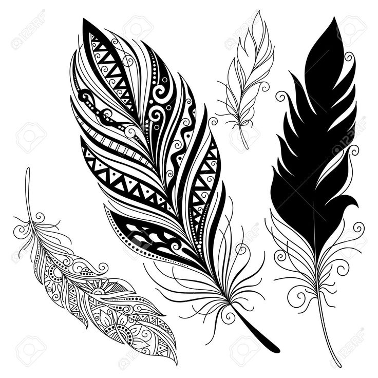 Tribal Feather Drawing At Getdrawings Free Download 4237