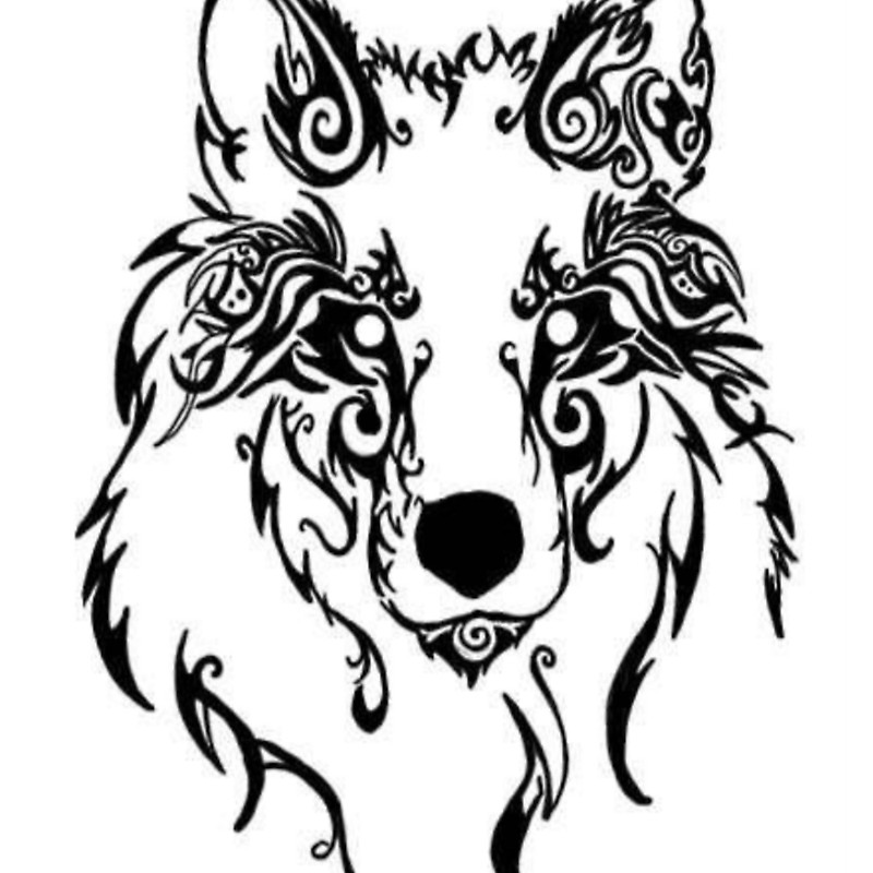 Tribal Wolf Drawing at Explore collection of