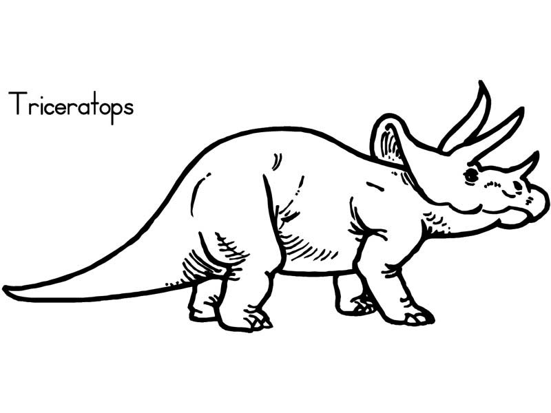 Triceratops Drawing at GetDrawings | Free download