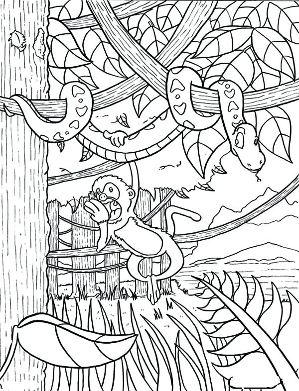 tropical-rainforest-drawing-at-getdrawings-free-download