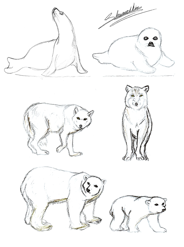 Tundra Animals Drawing at GetDrawings Free download