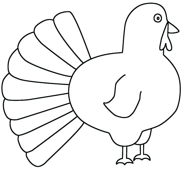 Turkey Outline Drawing at GetDrawings | Free download