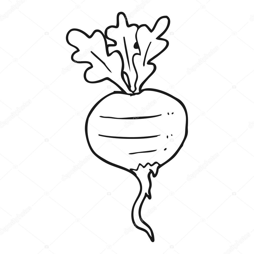 The best free Turnip drawing images. Download from 58 free drawings of