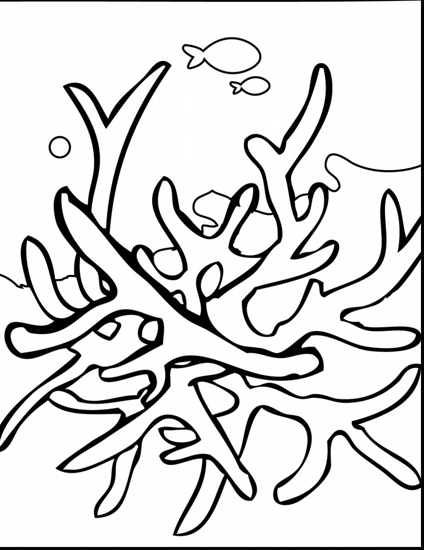 158 Cartoon Underwater Plants Coloring Pages for Adult