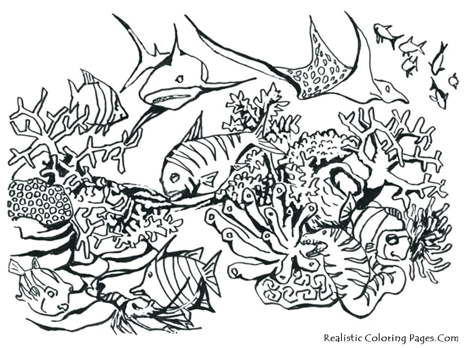 Underwater Scene Drawing at GetDrawings | Free download