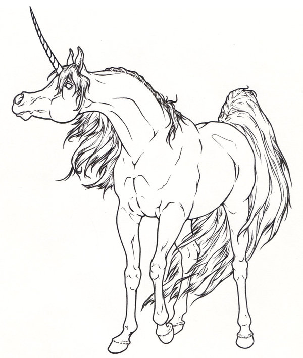 Search for Unicorn drawing at GetDrawings.com