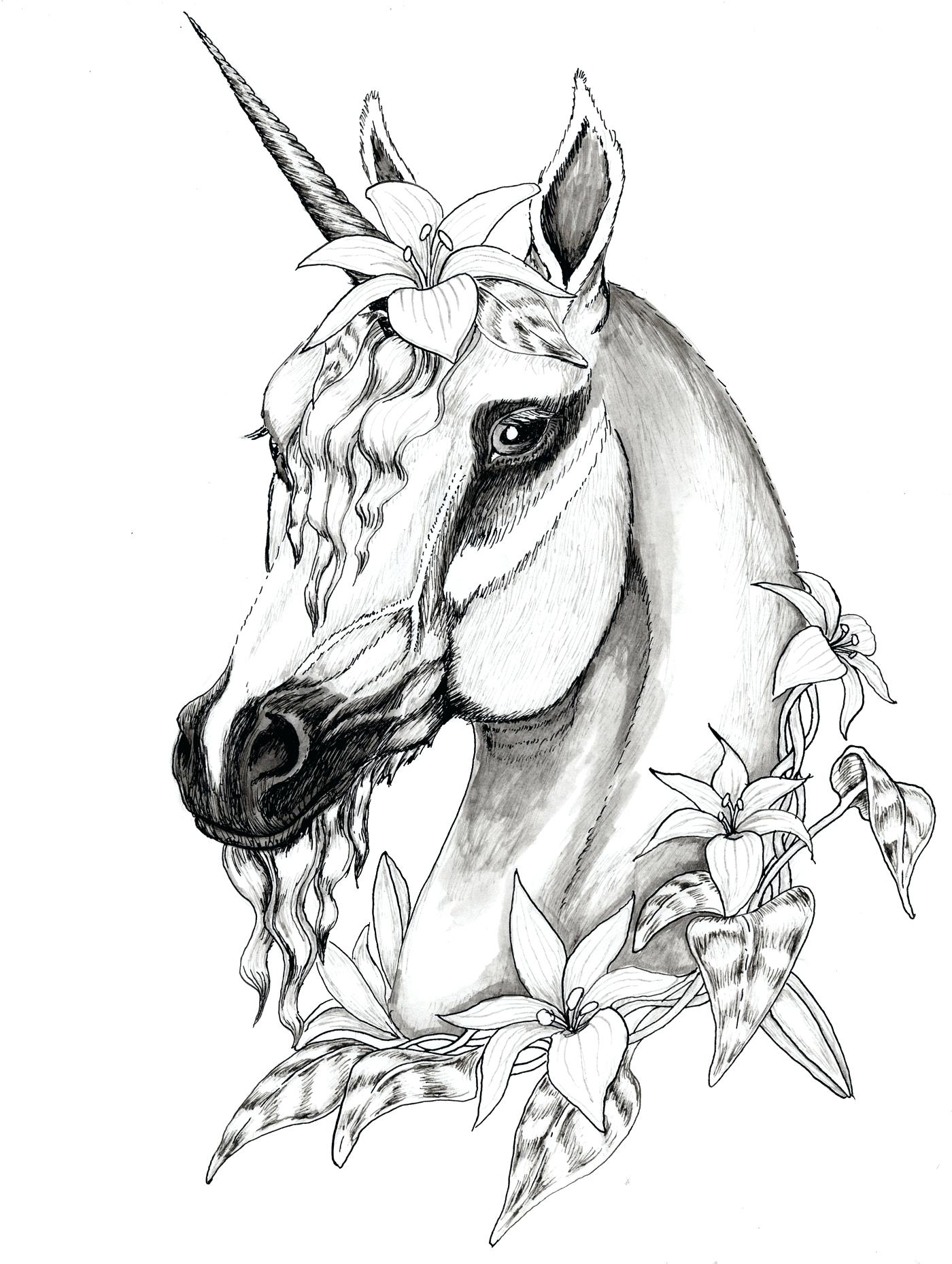 Unicorn With Wings Drawing at GetDrawings | Free download