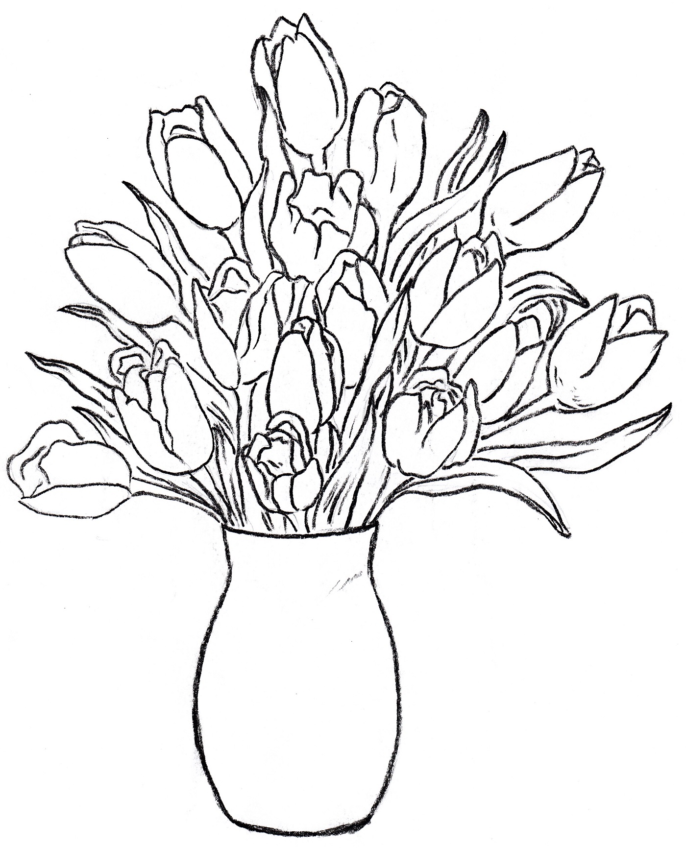 Pencil Flower Vase Drawing Images With Colour - img-sycamore