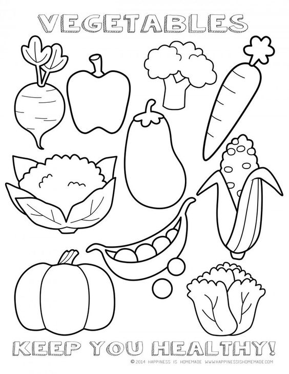 Vegetable Garden Drawing at GetDrawings | Free download