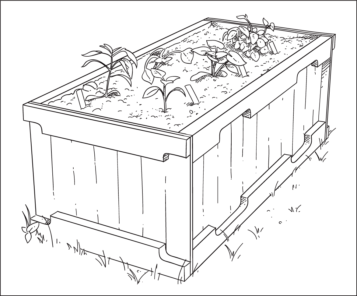 Vegetable Garden Drawing at GetDrawings | Free download