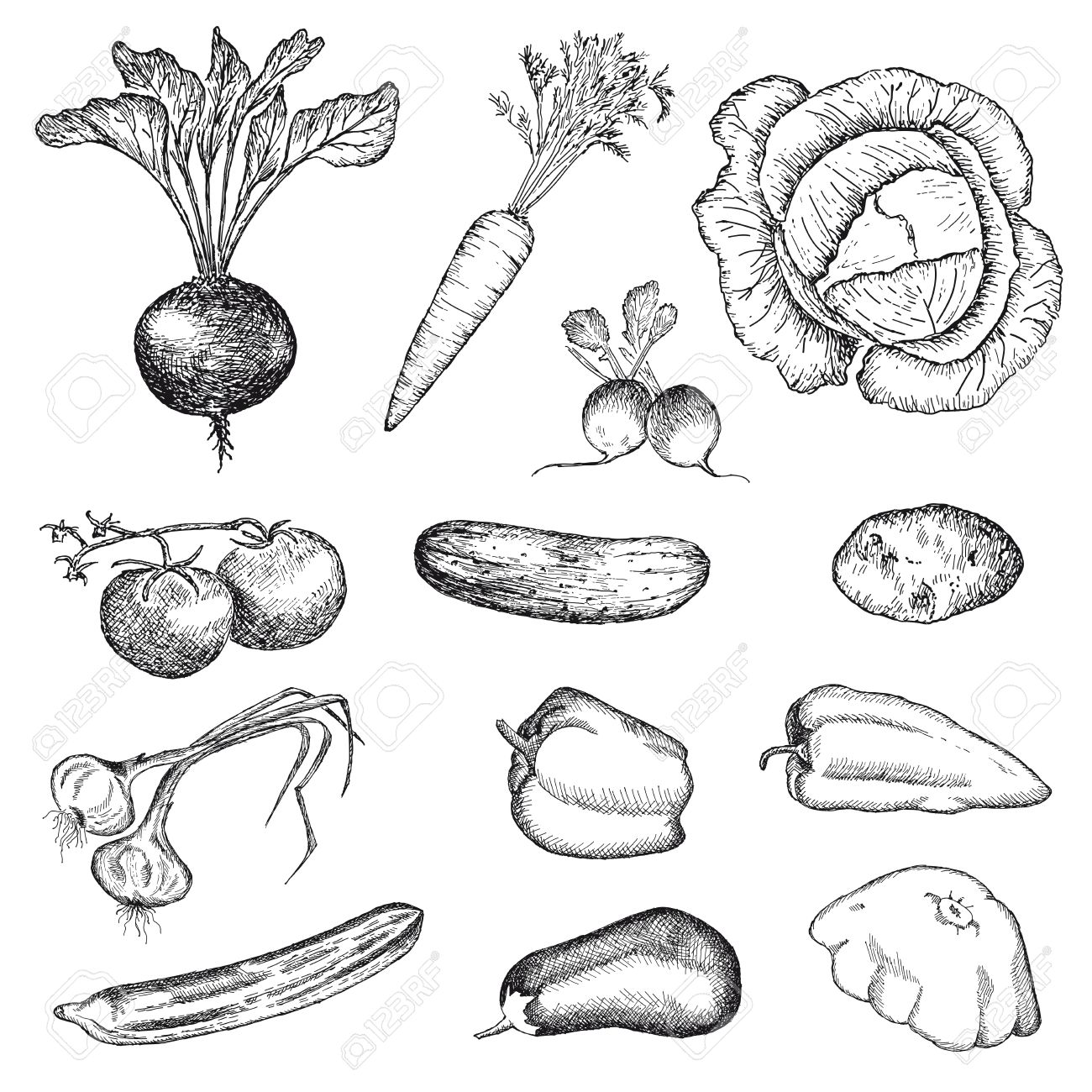 Vegetables Drawing at GetDrawings | Free download