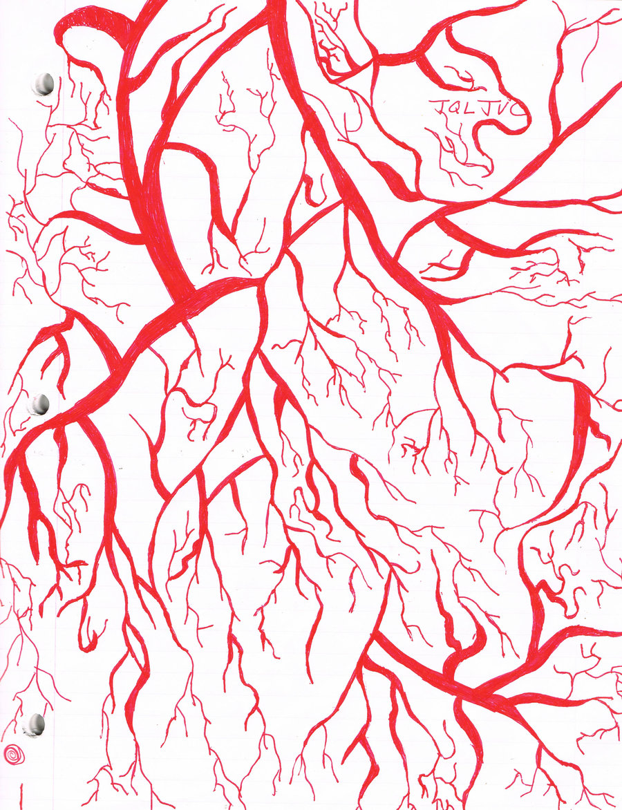 Veins Drawing at GetDrawings | Free download