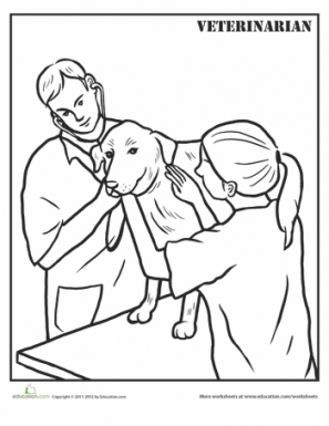 Veterinarian Drawing At GetDrawings | Free Download