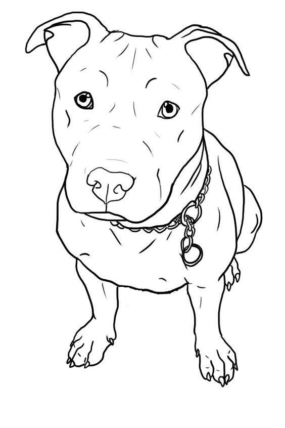 Vicious Dog Drawing At Getdrawings 