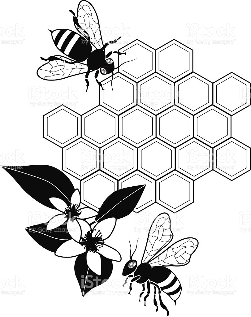 Vintage Honey Bee Drawing at GetDrawings Free download