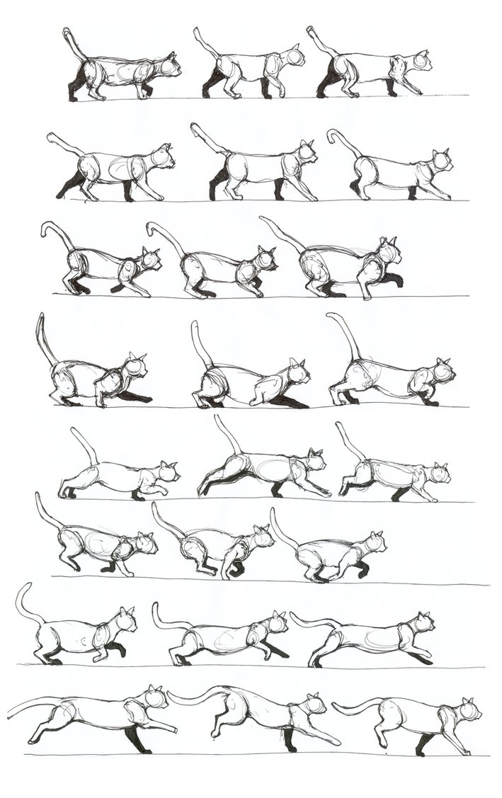 Walking Cat Drawing At Getdrawings Free Download