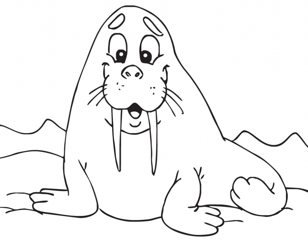 The best free Walrus drawing images. Download from 152 free drawings of