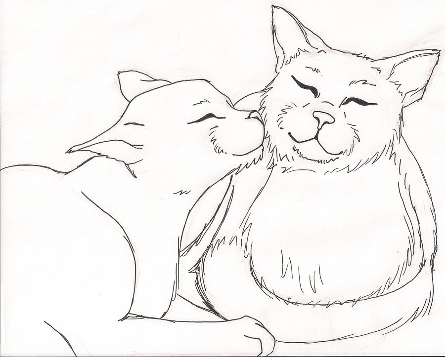 Warrior Cats Drawing at GetDrawings | Free download