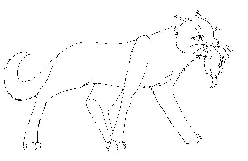 Warriors Cats Drawing at GetDrawings | Free download