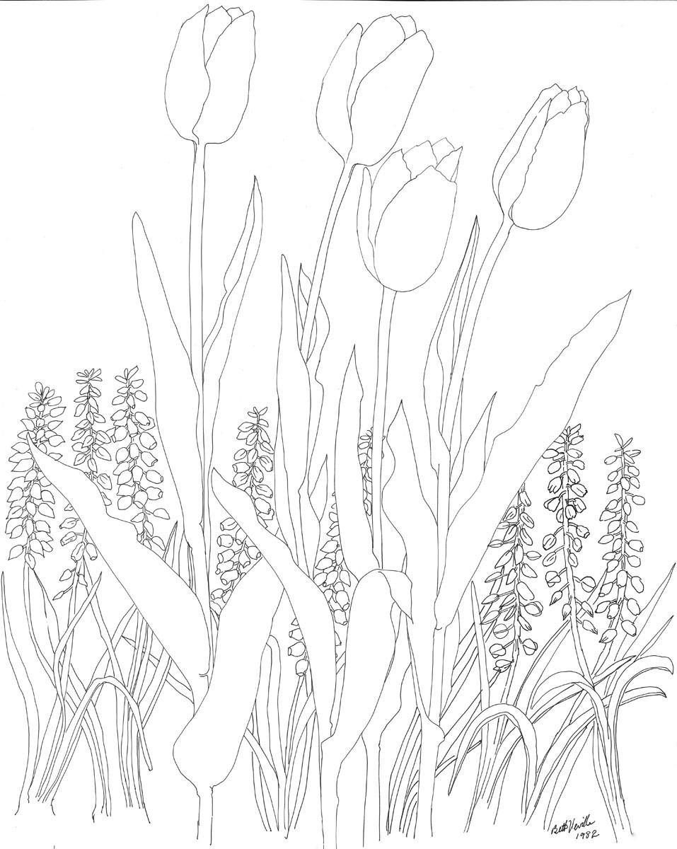 Раскраски первоцветы гиацинты