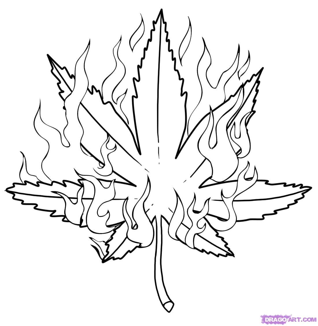 Weed Flower Drawing at GetDrawings Free download