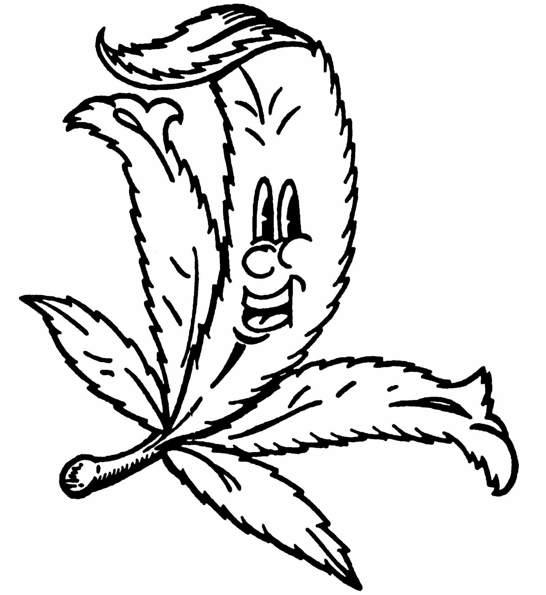 Weed Plant Drawing At Getdrawings Free Download