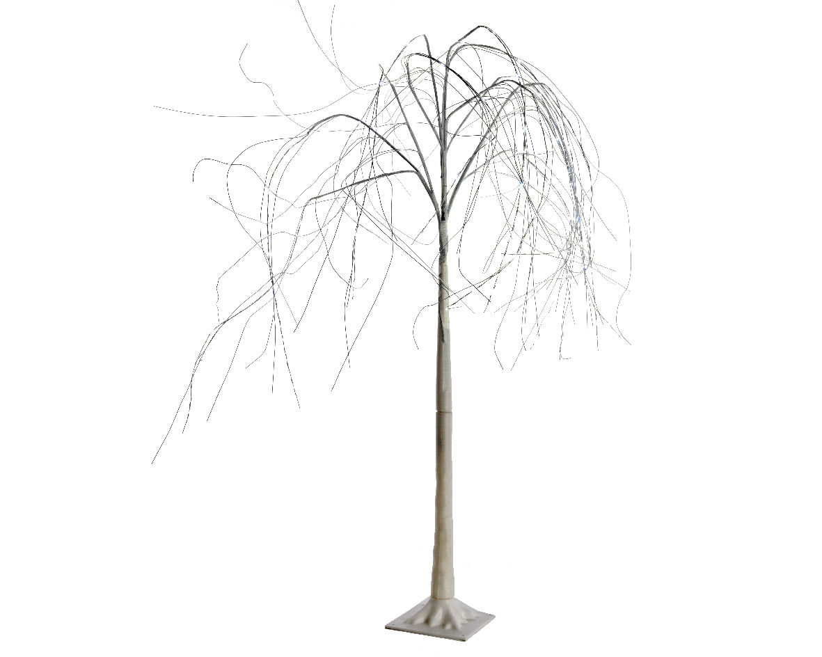 Weeping Willow Tree Vector at GetDrawings | Free download