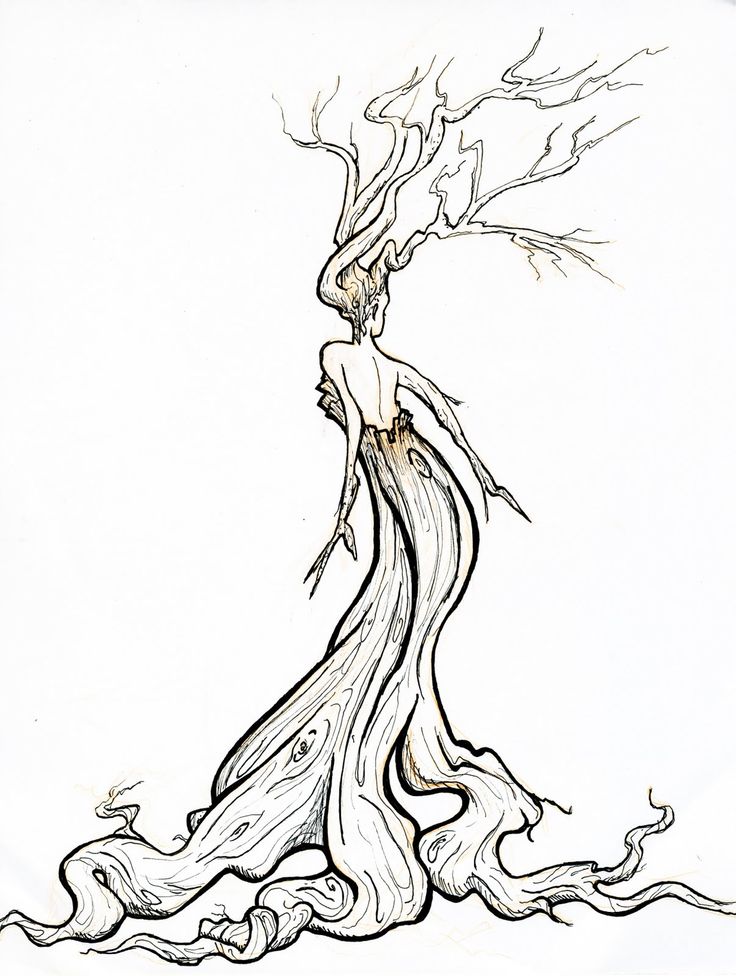 Weeping Willow Tree Drawing Easy - Simple Willow Tree Drawing at