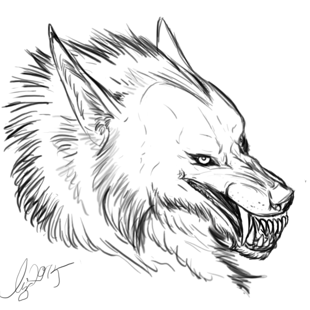 Sketch Werewolf Face Transformation Coloring Pages