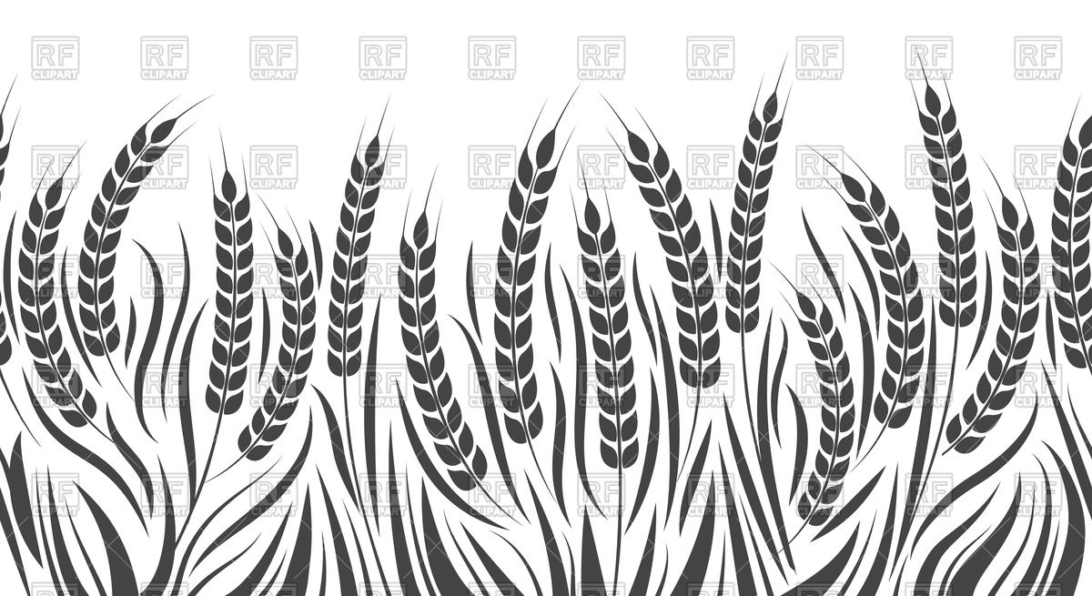 Wheat Field Drawing At GetDrawings Free Download