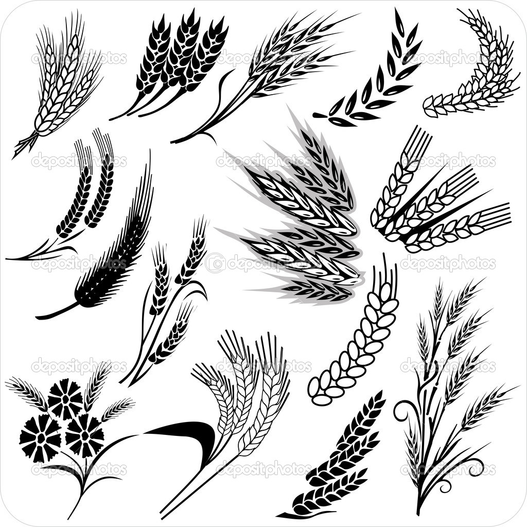 Wheat Field Drawing at GetDrawings | Free download