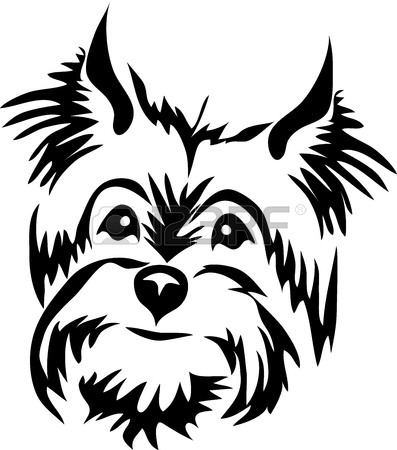 Wheaten Terrier Drawing at GetDrawings | Free download