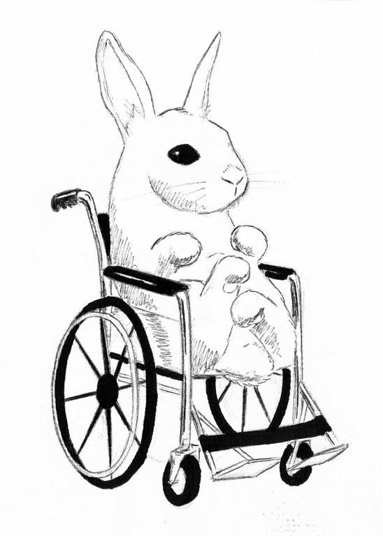 wheelchair-drawing-at-getdrawings-free-download