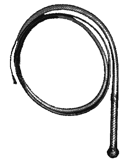 Whip Drawing at GetDrawings | Free download