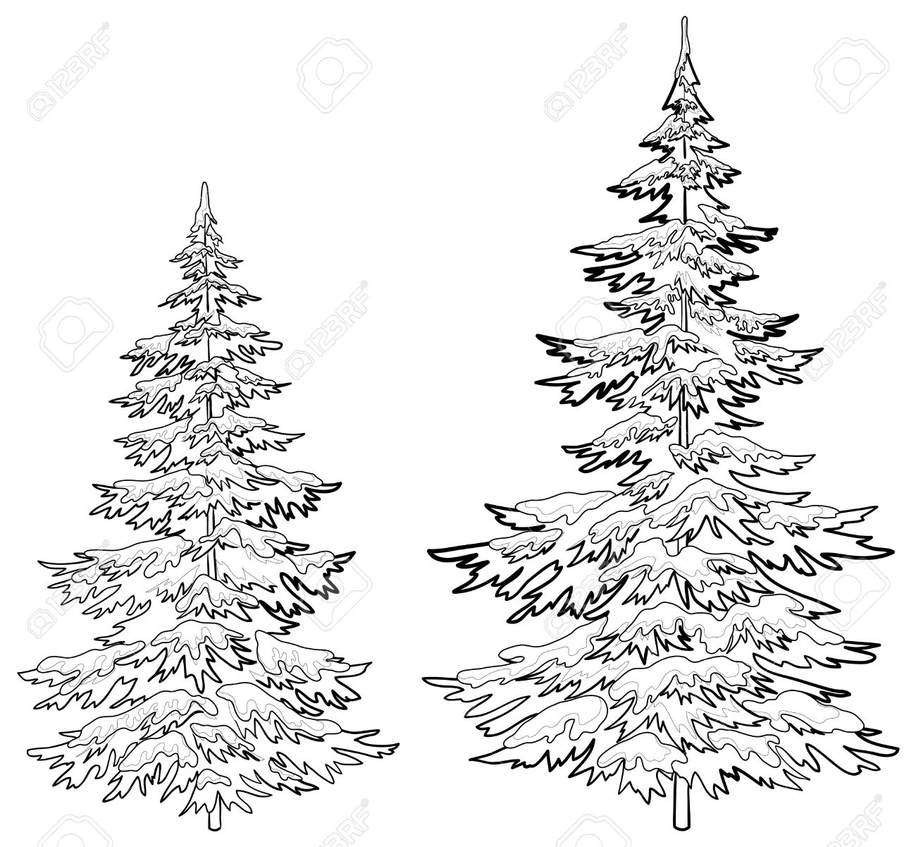 239 Cute White Pine Tree Coloring Page with Animal character