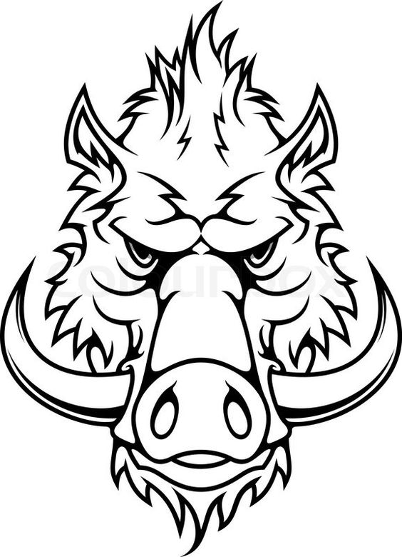 The best free Hog drawing images. Download from 94 free drawings of Hog