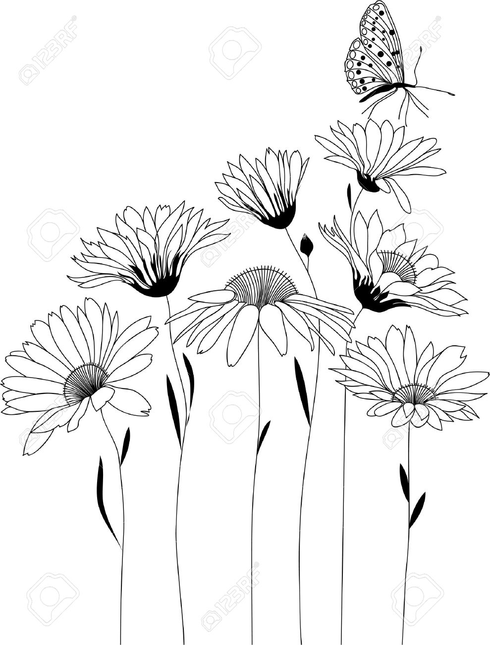 Wildflower Bouquet Drawing at GetDrawings | Free download