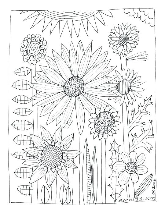 Wildflowers Drawing at GetDrawings | Free download