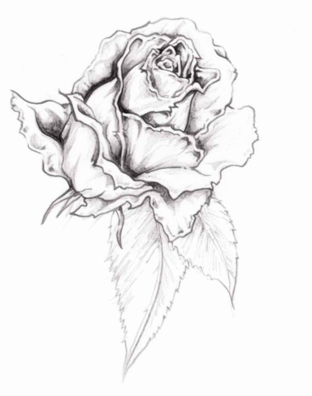 Wilted Flower Drawing at GetDrawings Free download