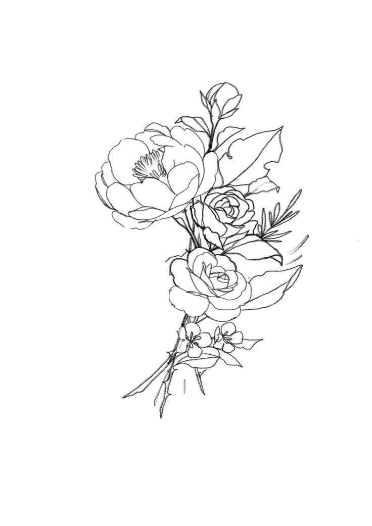 Wilting Rose Drawing At Getdrawings 