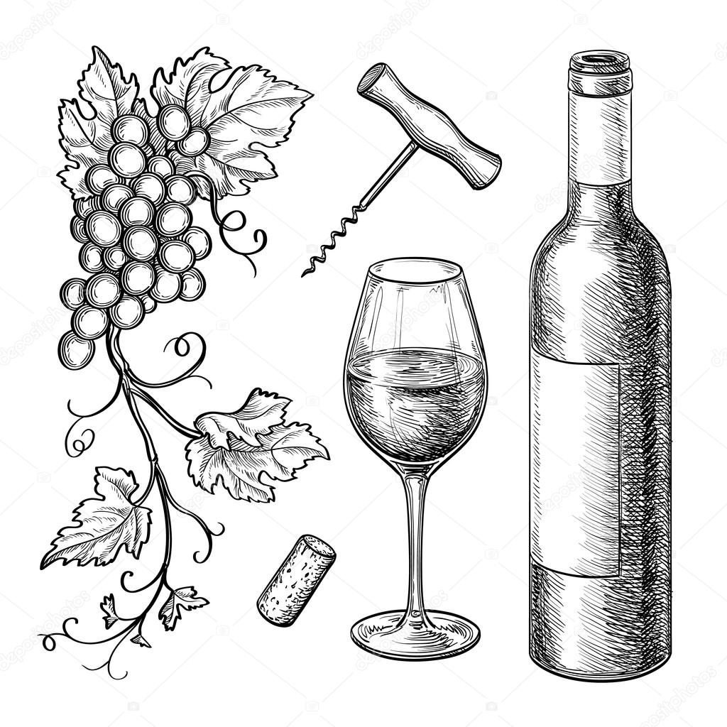 Albums 103+ Pictures Drawing Of A Wine Bottle Superb