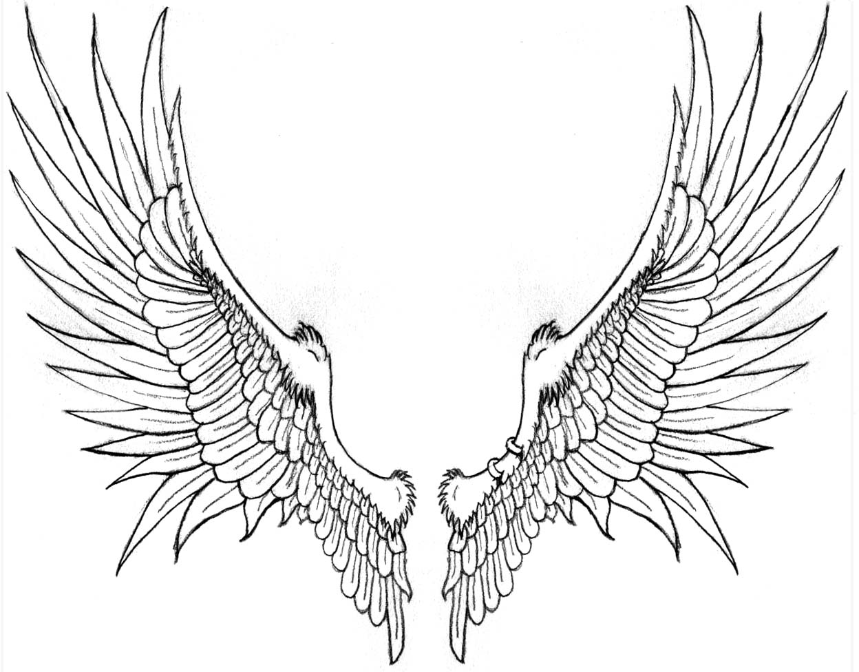 Wing Tattoo Drawing at GetDrawings Free download