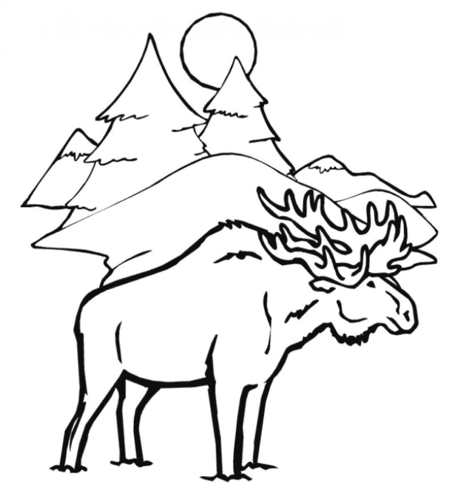 Winter Animals Drawing At GetDrawings Free Download